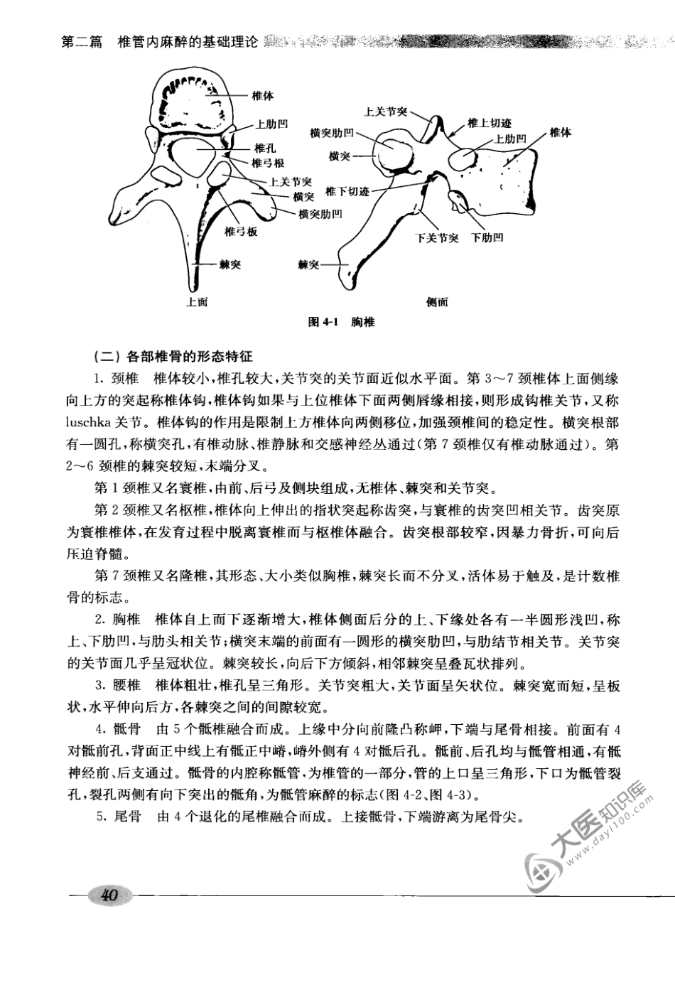00椎管内麻醉学_81-160.pdf_第2页