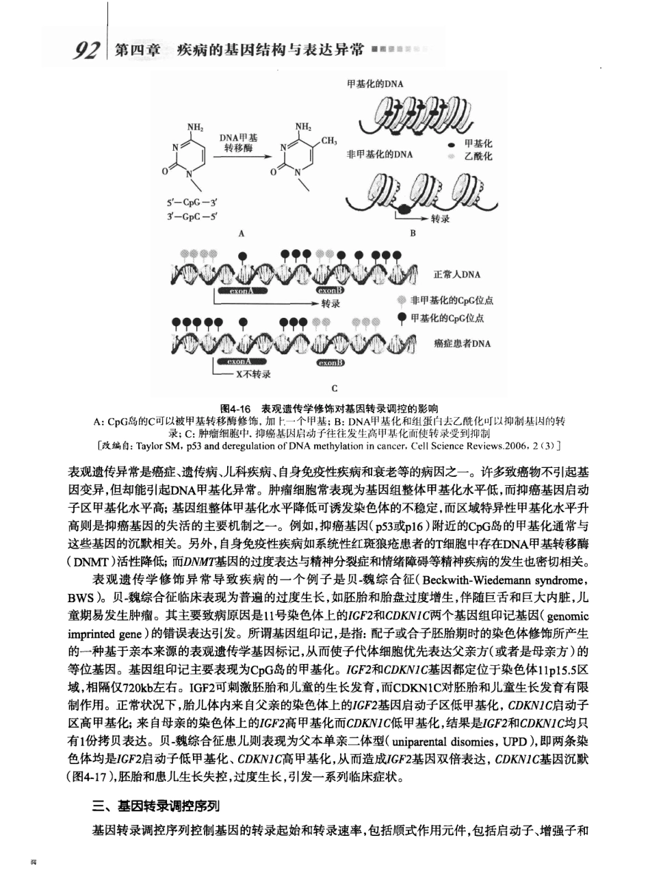 8年制 病理生理学 第二版_113-168.pdf_第2页