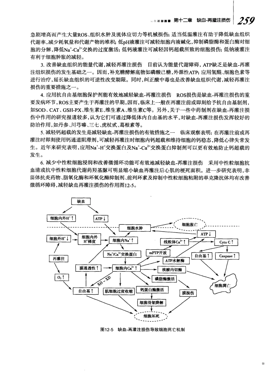 8年制 病理生理学 第二版_281-336.pdf_第1页