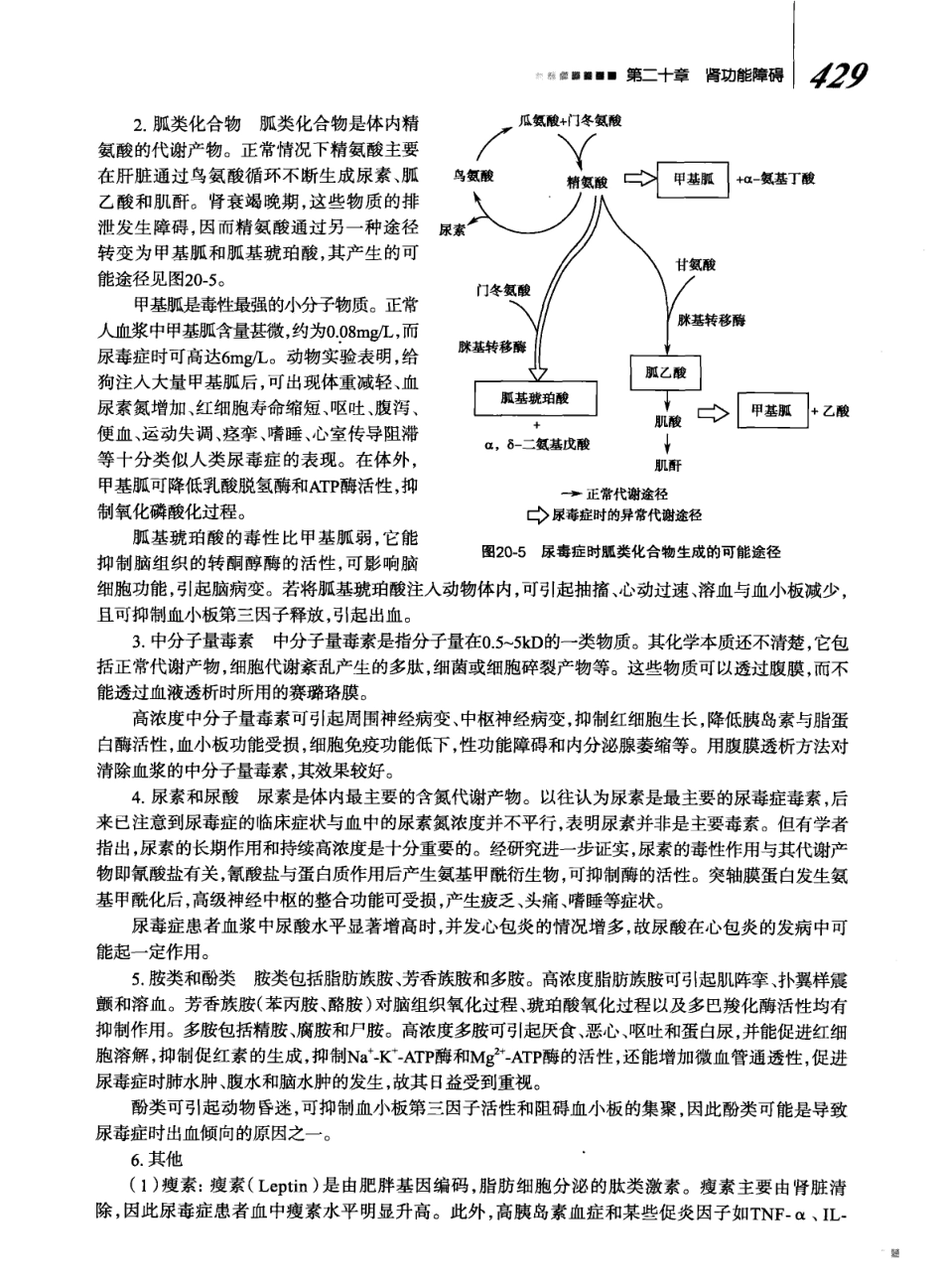8年制 病理生理学 第二版_449-504.pdf_第3页