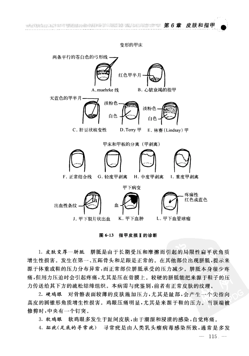 2012《DeGowin's临床诊断学(第9版)》(美)勒布朗德_145-216.pdf_第2页