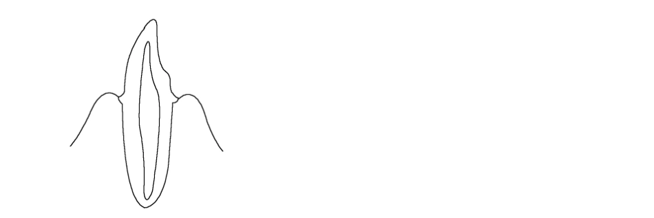 PDF全冠_277-368.pdf_第2页
