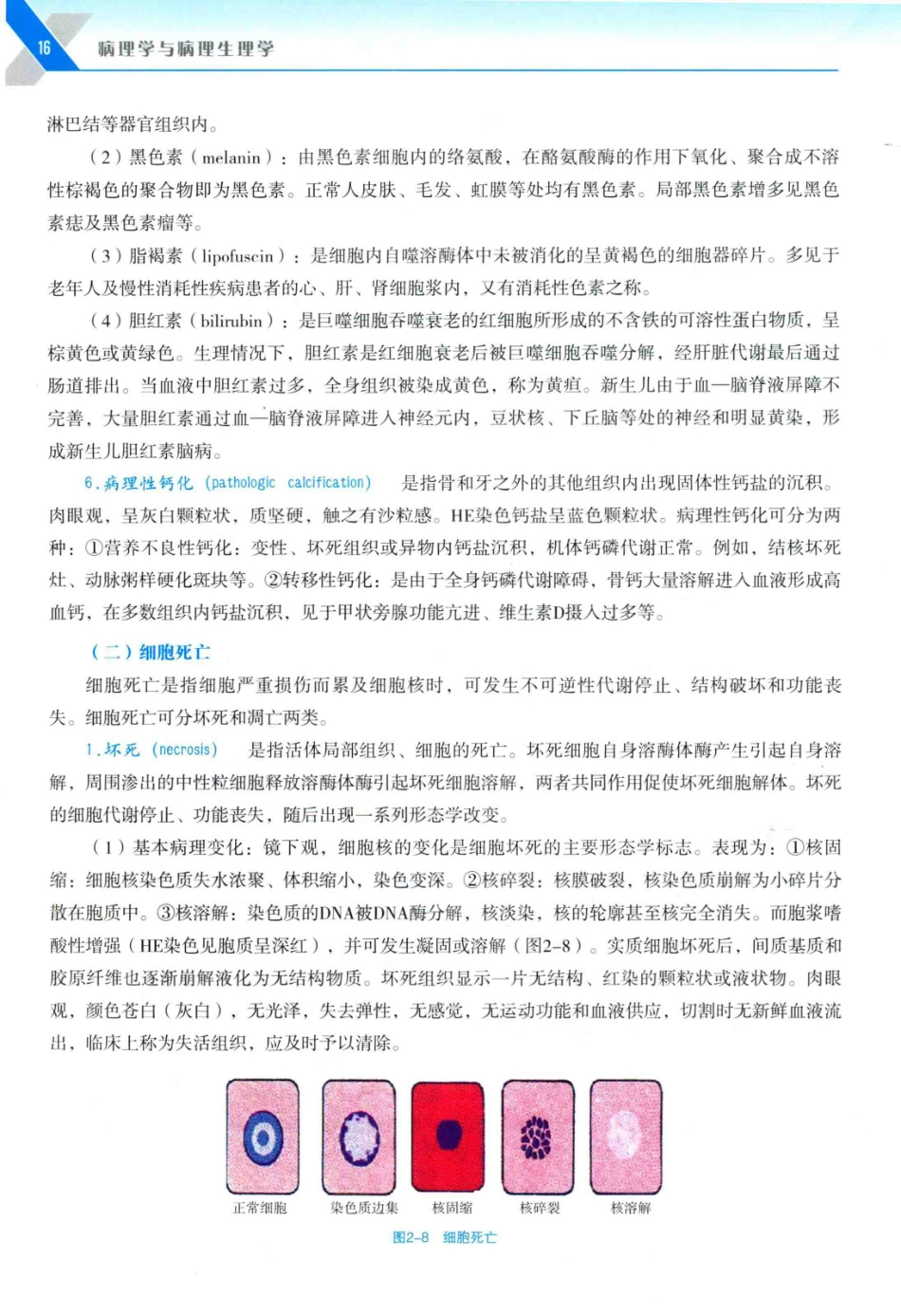 病理学与病理生理学_14314987_31-60.pdf_第1页
