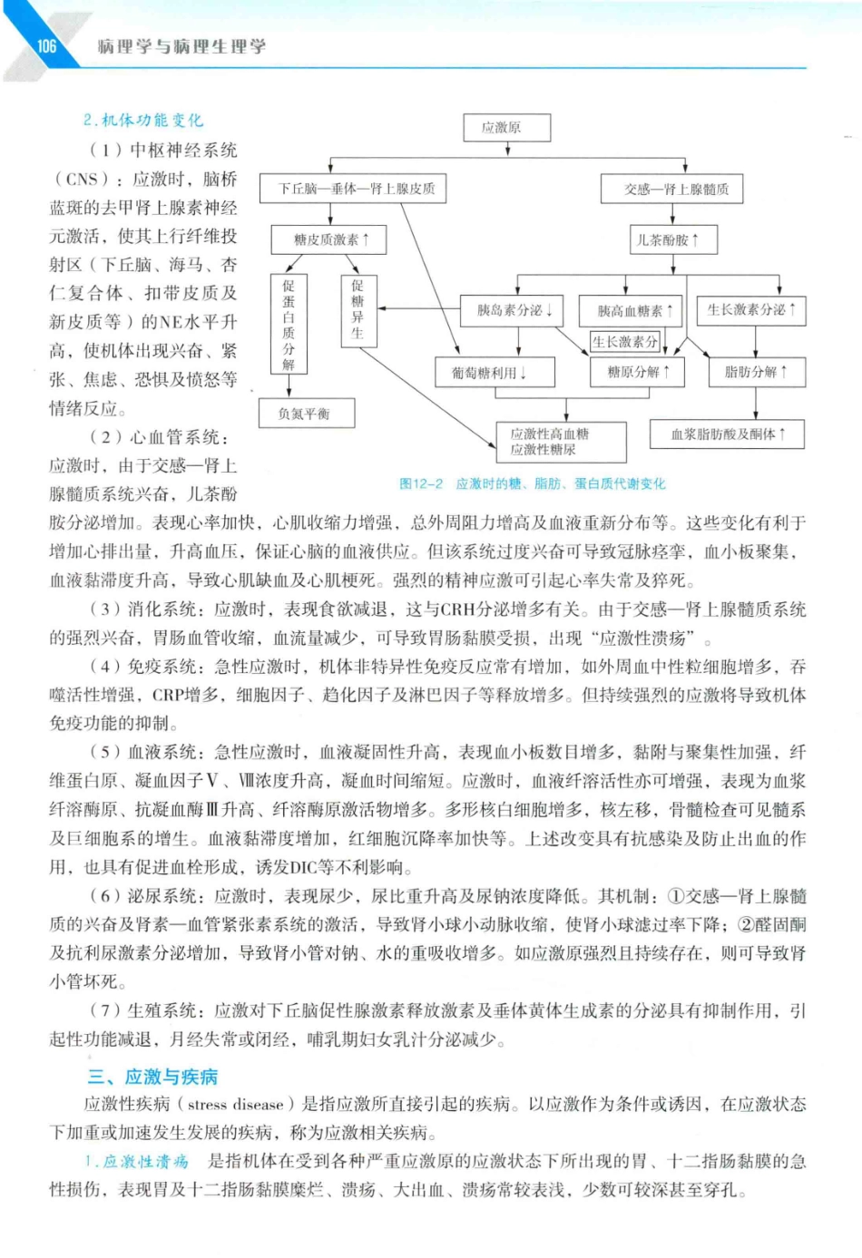 病理学与病理生理学_14314987_121-150.pdf_第1页