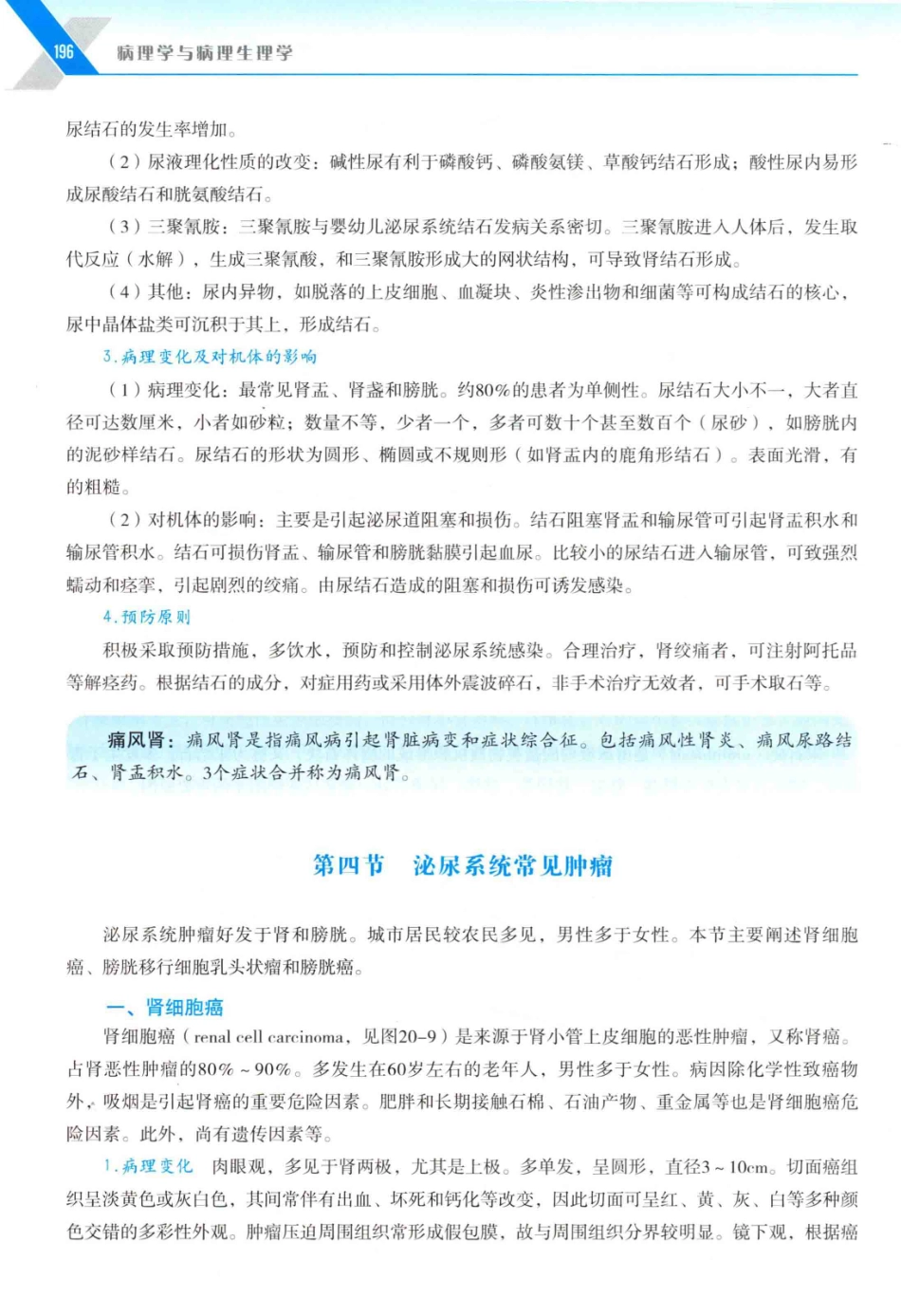 病理学与病理生理学_14314987_211-240.pdf_第1页