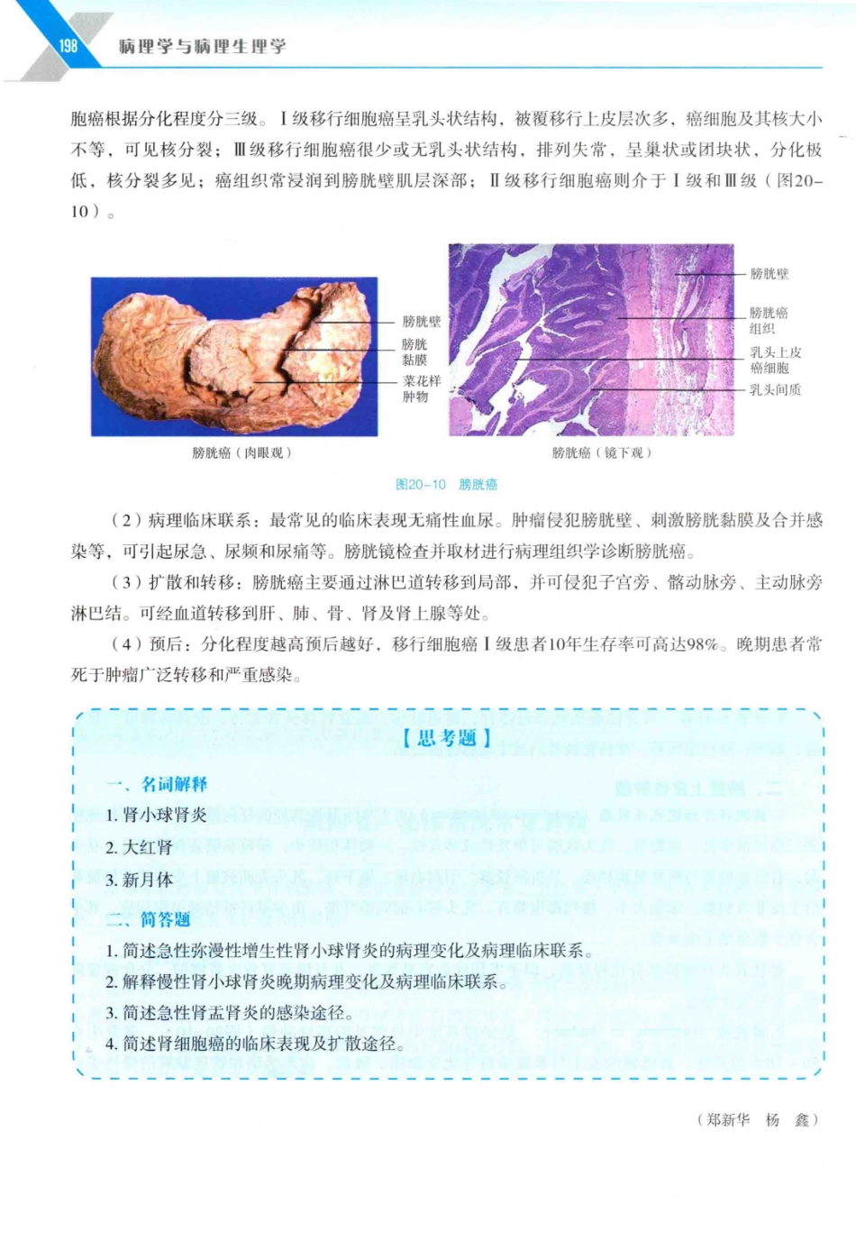病理学与病理生理学_14314987_211-240.pdf_第3页
