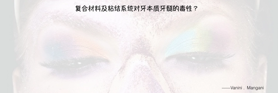 瓷嵌体新课件_161-240.pdf_第2页