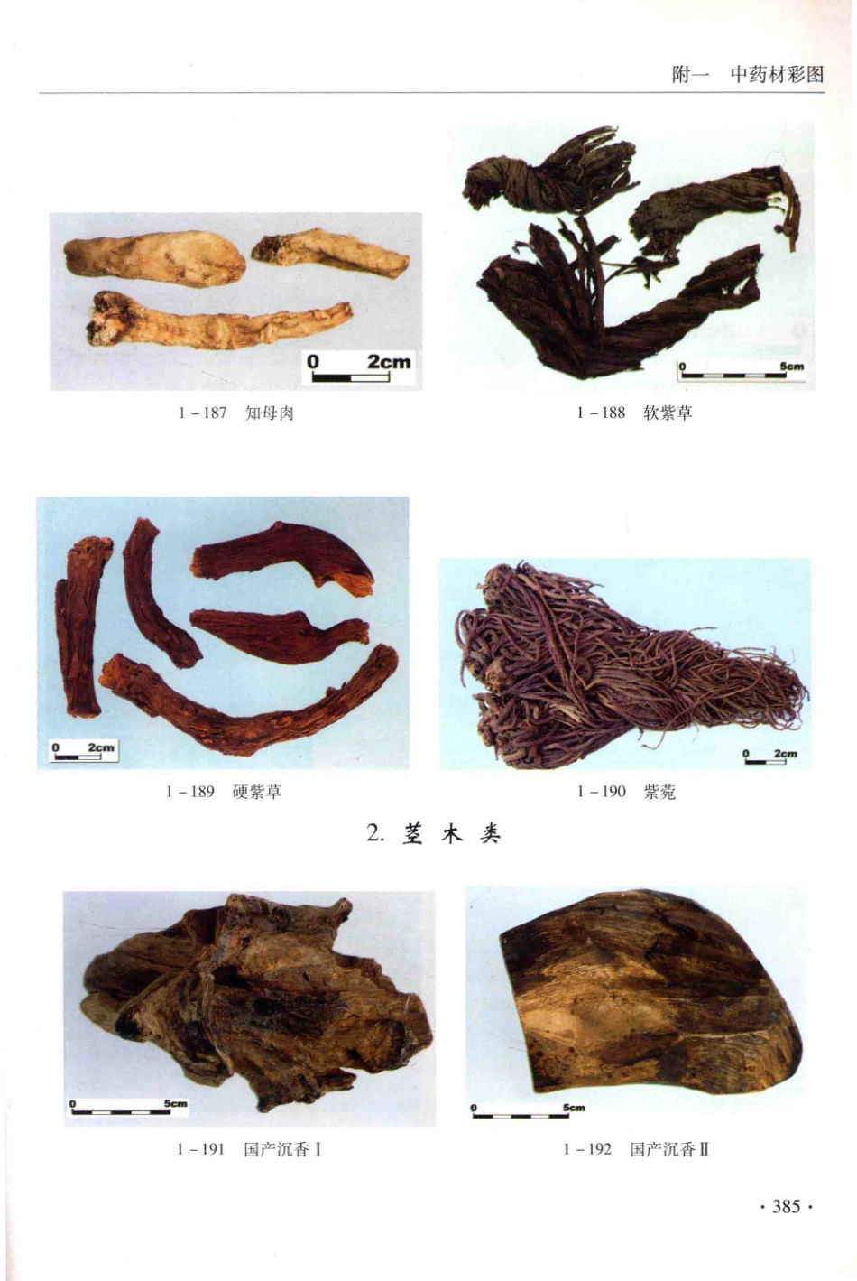 金世元传统中药材鉴别经验_13626119_401-450.pdf_第1页