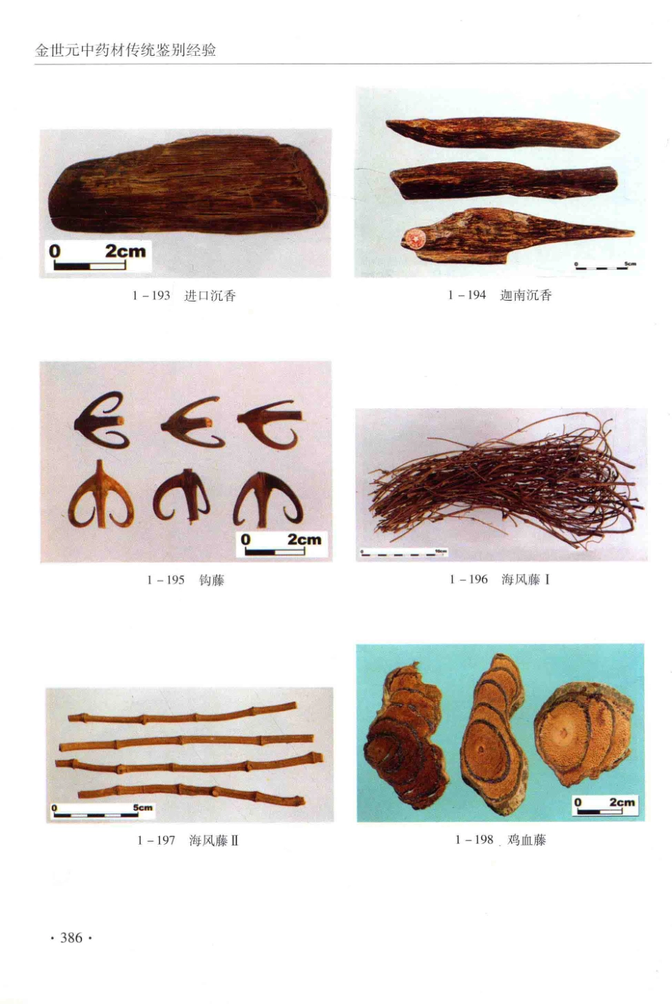 金世元传统中药材鉴别经验_13626119_401-450.pdf_第2页