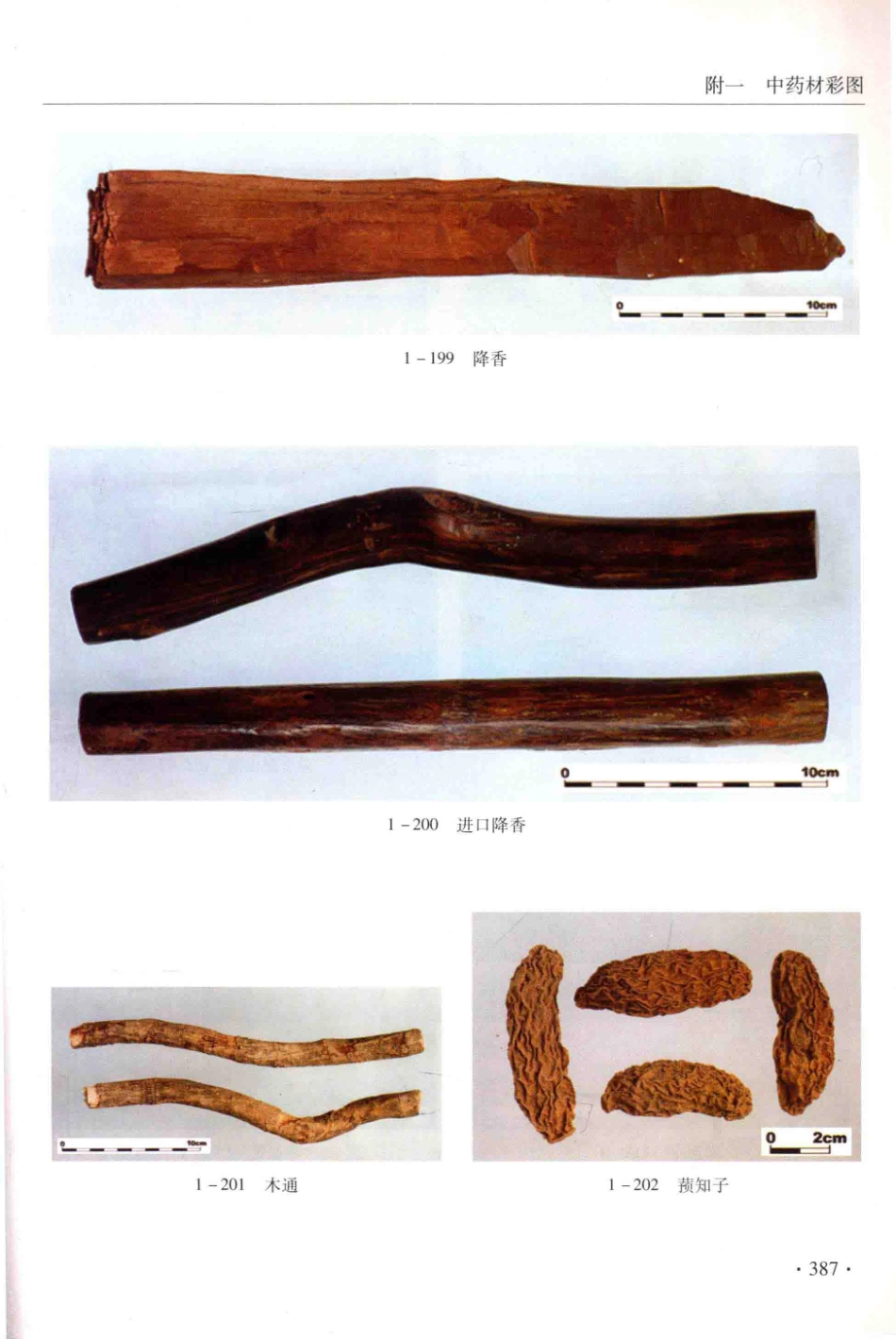 金世元传统中药材鉴别经验_13626119_401-450.pdf_第3页