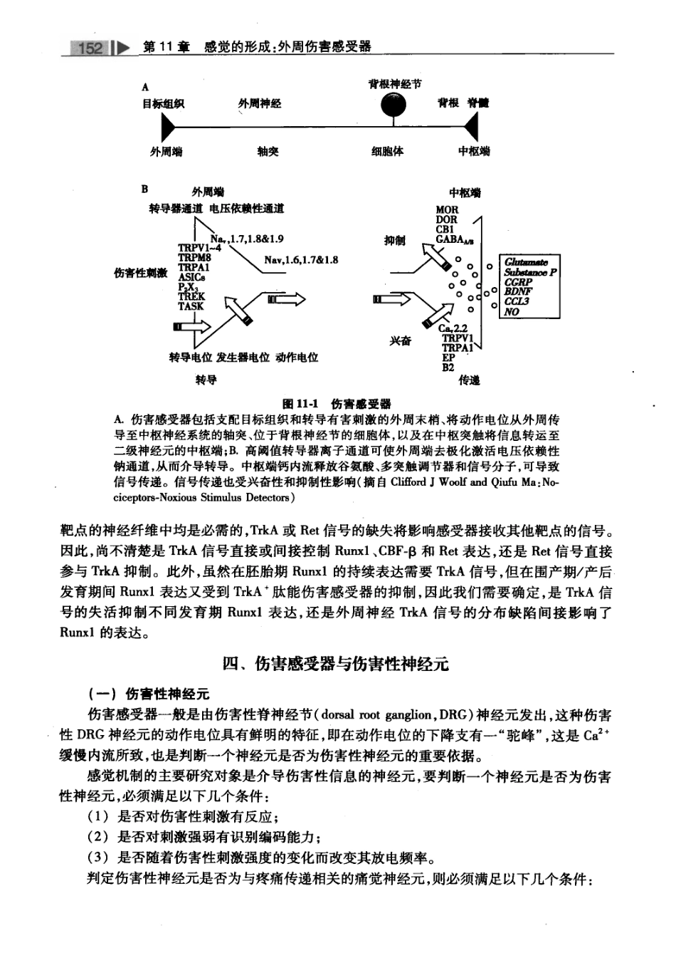 麻醉药理学基础与临床_叶铁虎2011_201-300.pdf_第2页
