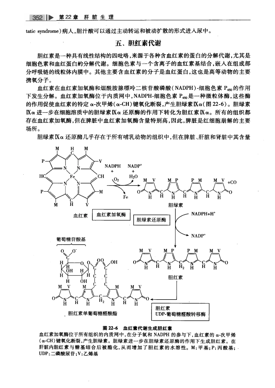 麻醉药理学基础与临床_叶铁虎2011_401-500.pdf_第2页