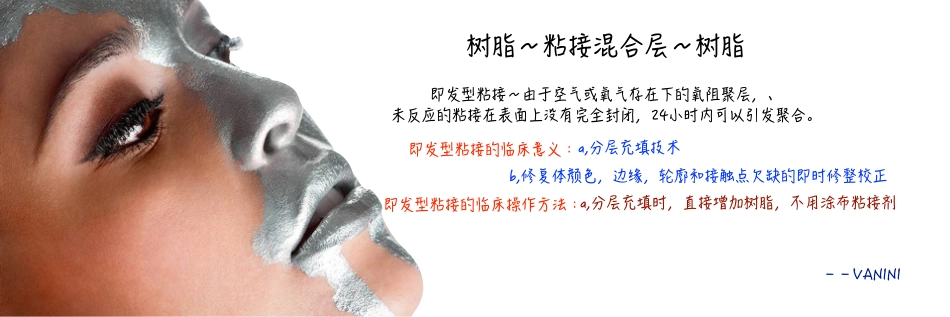 贴面电子课件_301-350.pdf_第2页