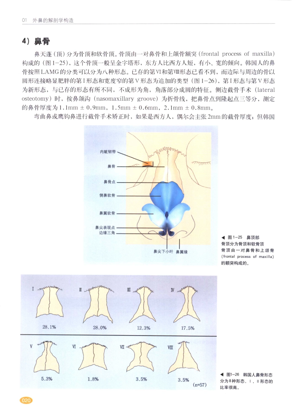 现代韩国鼻整形术_21-40.pdf_第1页