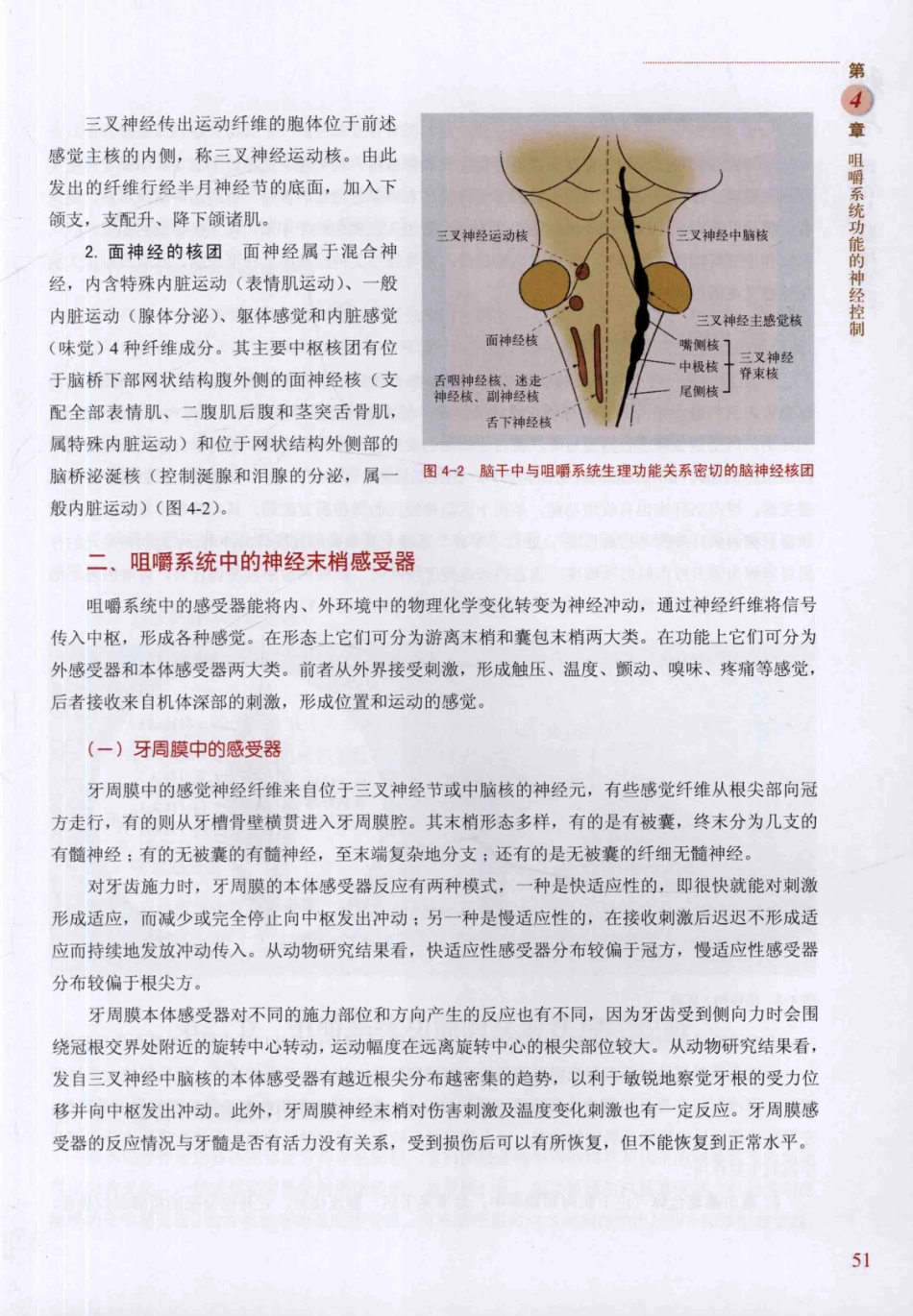 牙合学理论与临床实践 第2版_韩科，张豪主编2014（彩图）_61-90.pdf_第3页