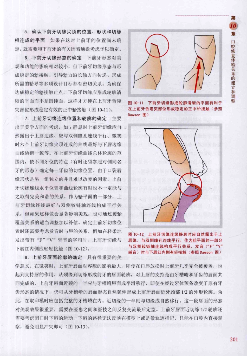 牙合学理论与临床实践 第2版_韩科，张豪主编2014（彩图）_211-240.pdf_第3页