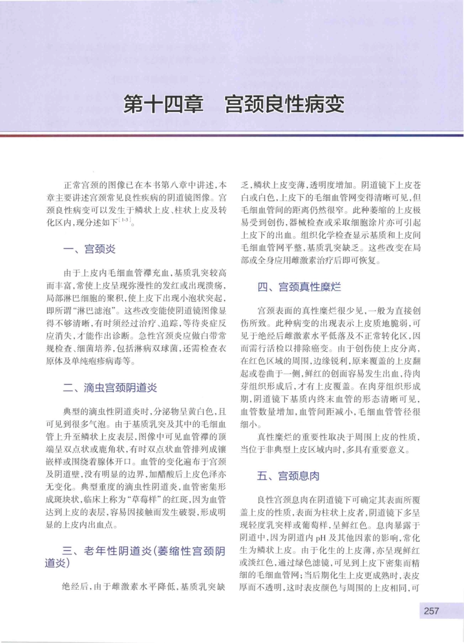 阴道镜图谱  第3版_14003389_271-315.pdf_第2页