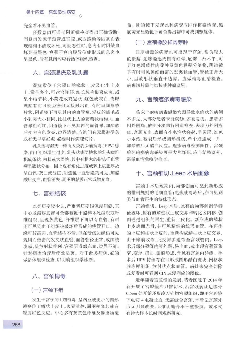 阴道镜图谱  第3版_14003389_271-315.pdf_第3页