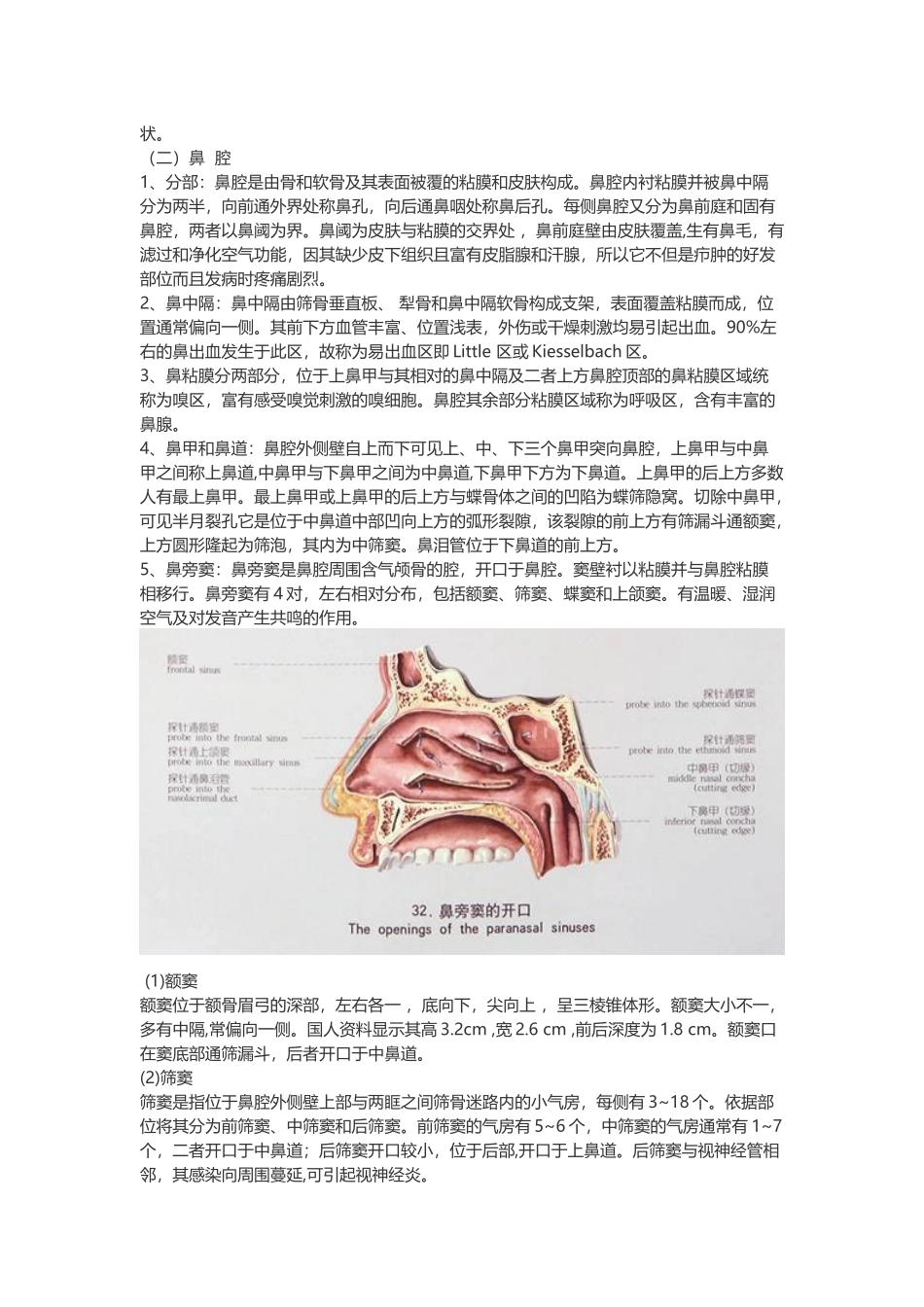 医学：【讲义】3.呼吸系统.doc_第2页