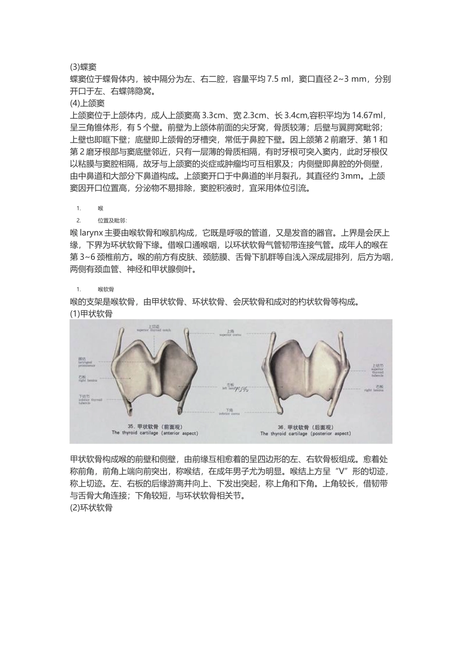 医学：【讲义】3.呼吸系统.doc_第3页