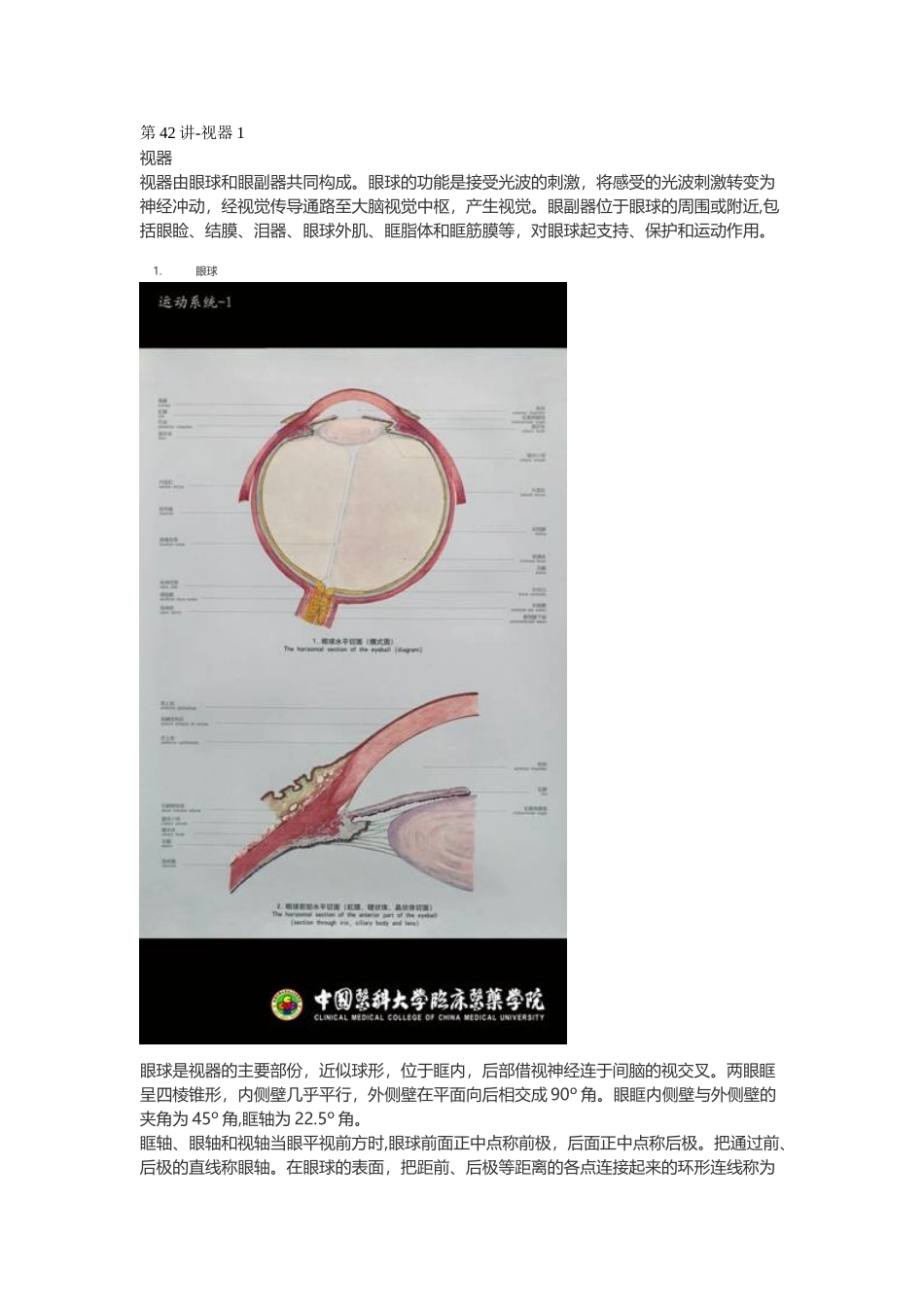医学：【讲义】8.感觉器.doc_第1页