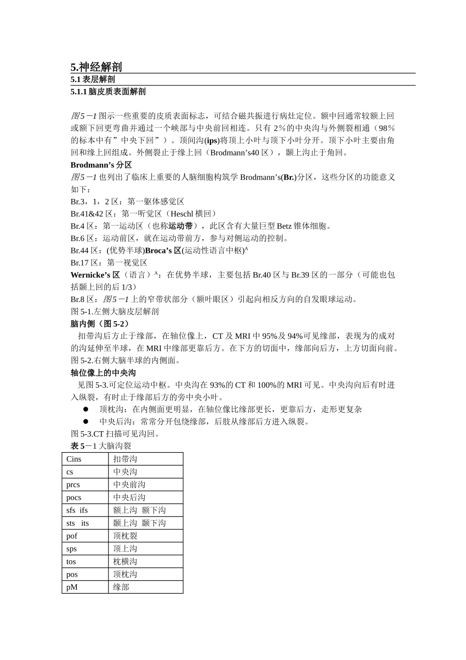 医学：5.神经解剖和生理.doc_第1页