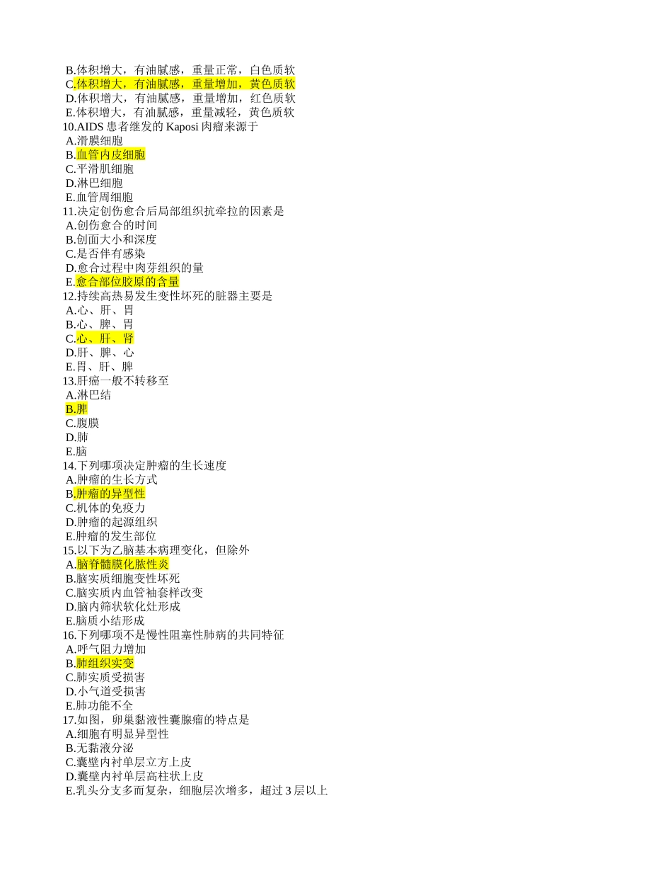 医学：病理4A.doc_第2页