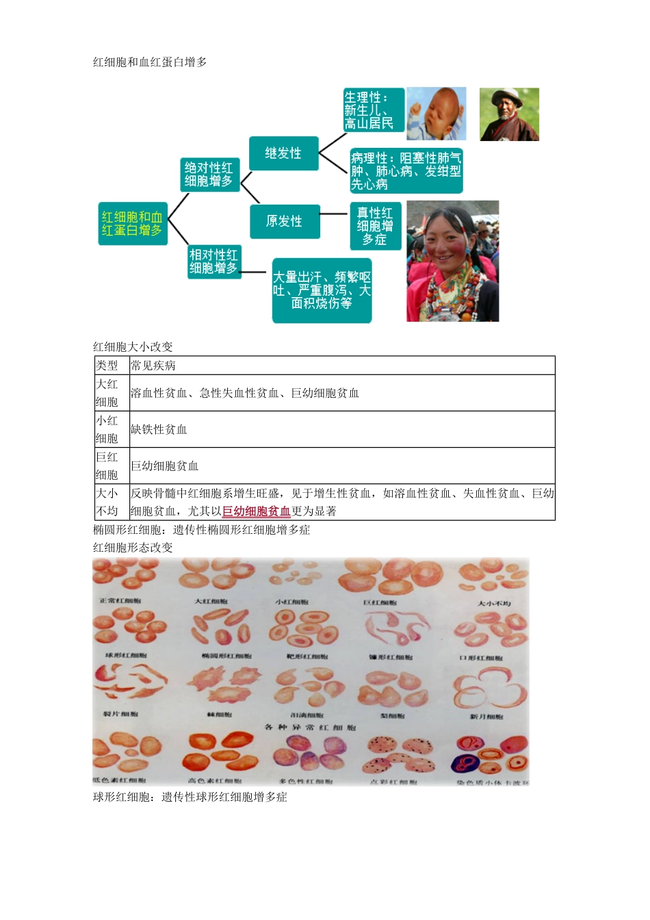 医学：实验室诊断.pdf_第3页