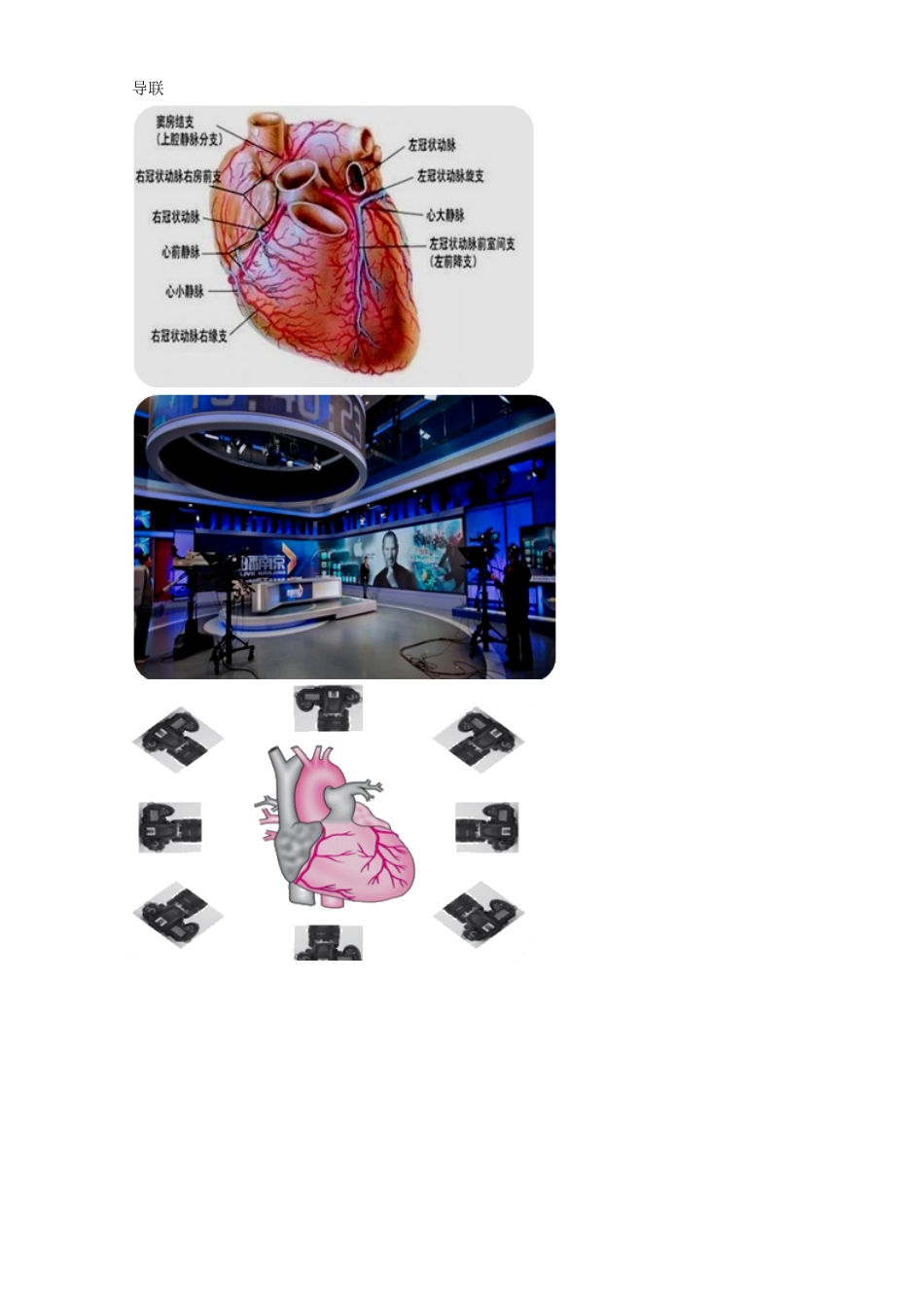 医学：心电图.pdf_第3页