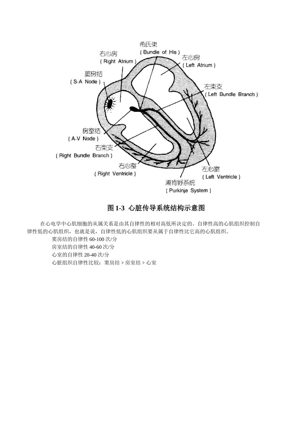 医学：心电图超级学习法.doc_第3页