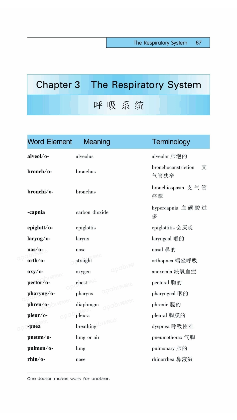医学：03呼吸系统.pdf_第1页