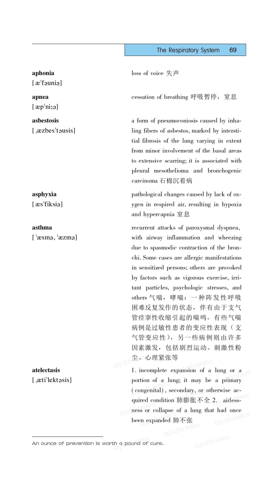 医学：03呼吸系统.pdf_第3页