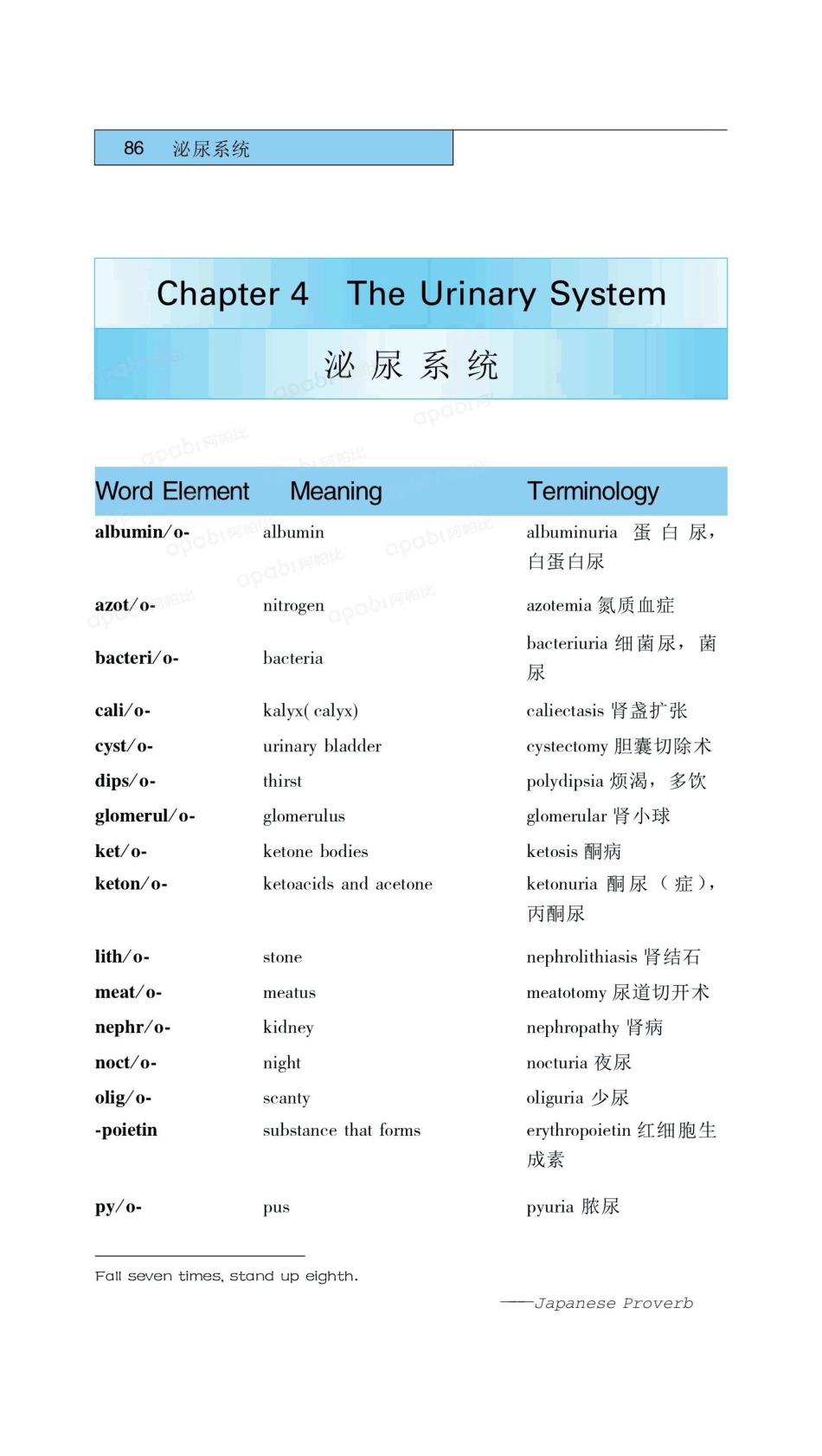 医学：04泌尿系统.pdf_第1页