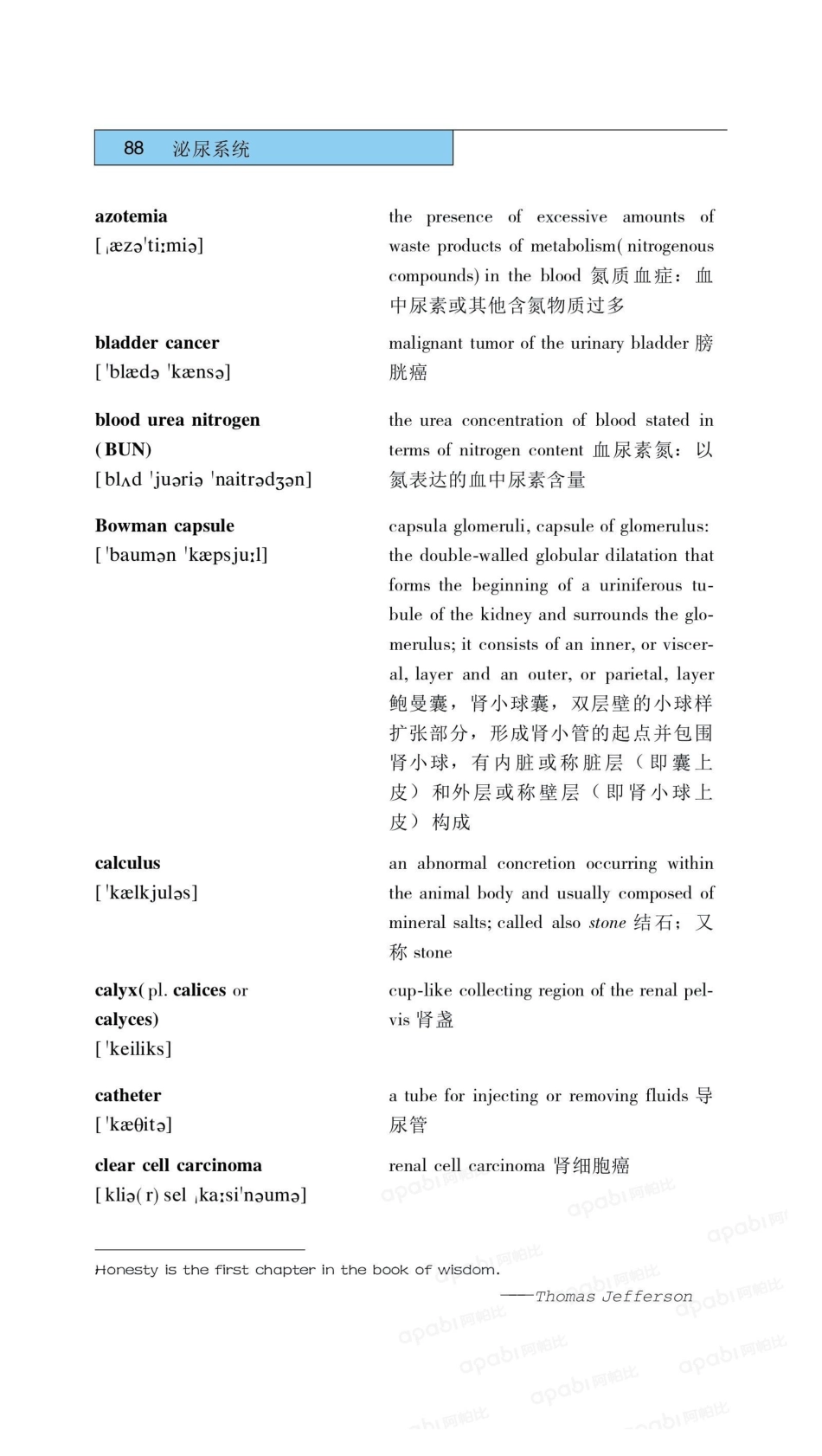 医学：04泌尿系统.pdf_第3页