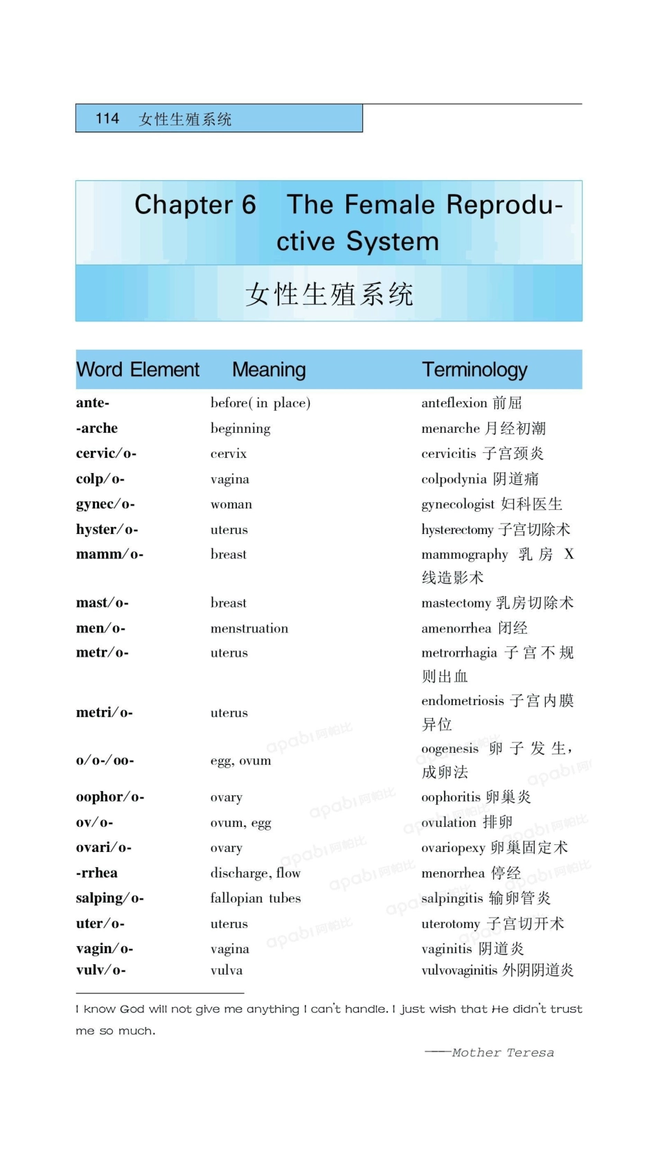 医学：06女性生殖系统.pdf_第1页