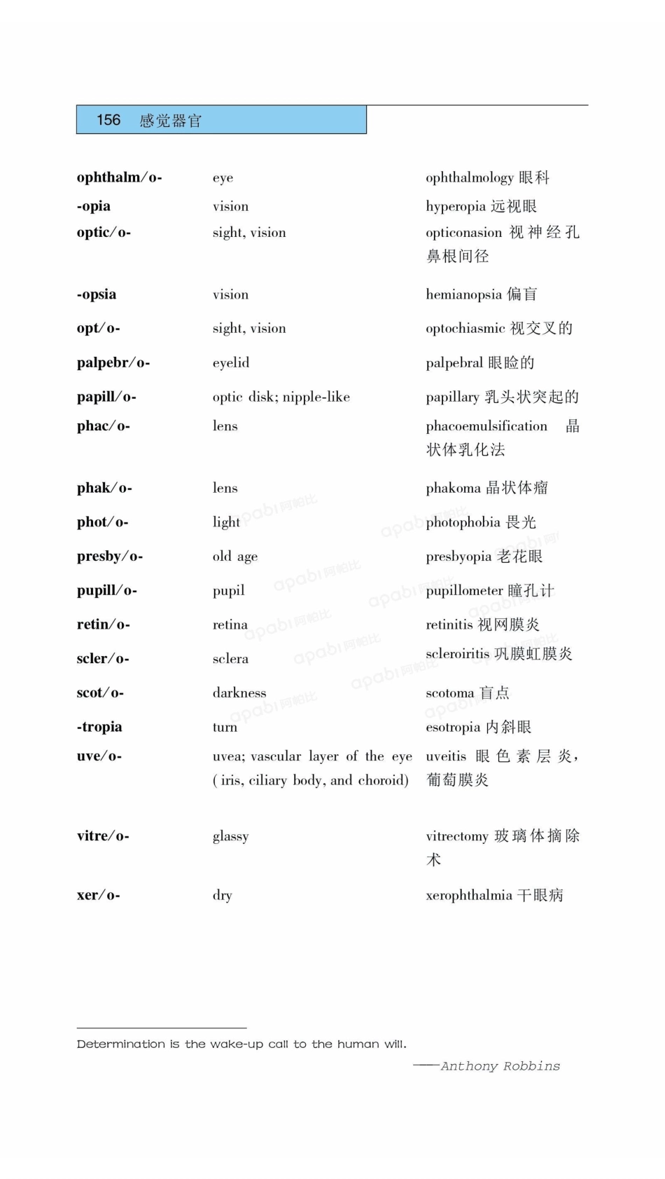 医学：08感觉器官.pdf_第2页