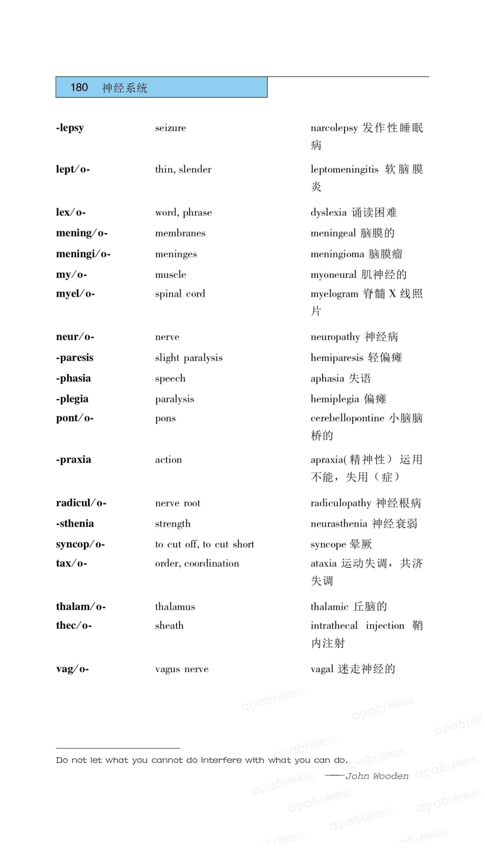 医学：09神经系统.pdf_第2页
