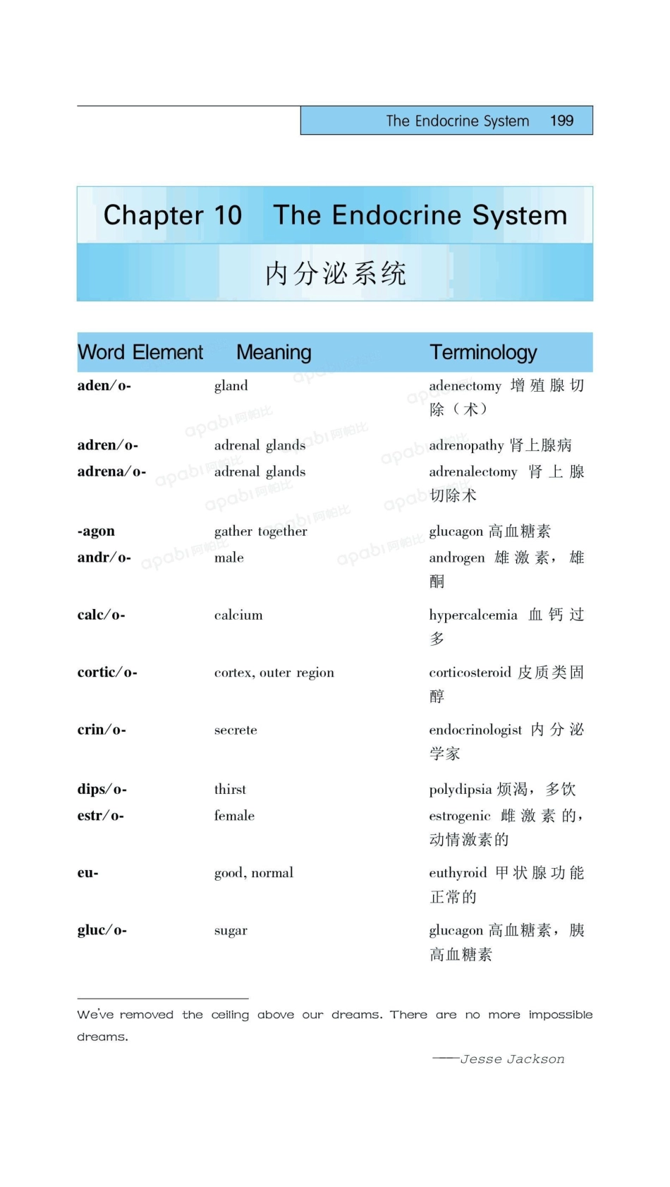医学：10内分泌系统.pdf_第1页