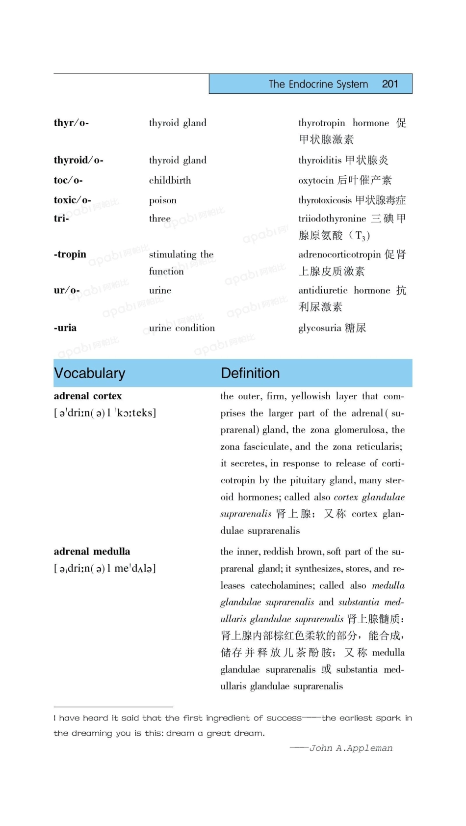 医学：10内分泌系统.pdf_第3页