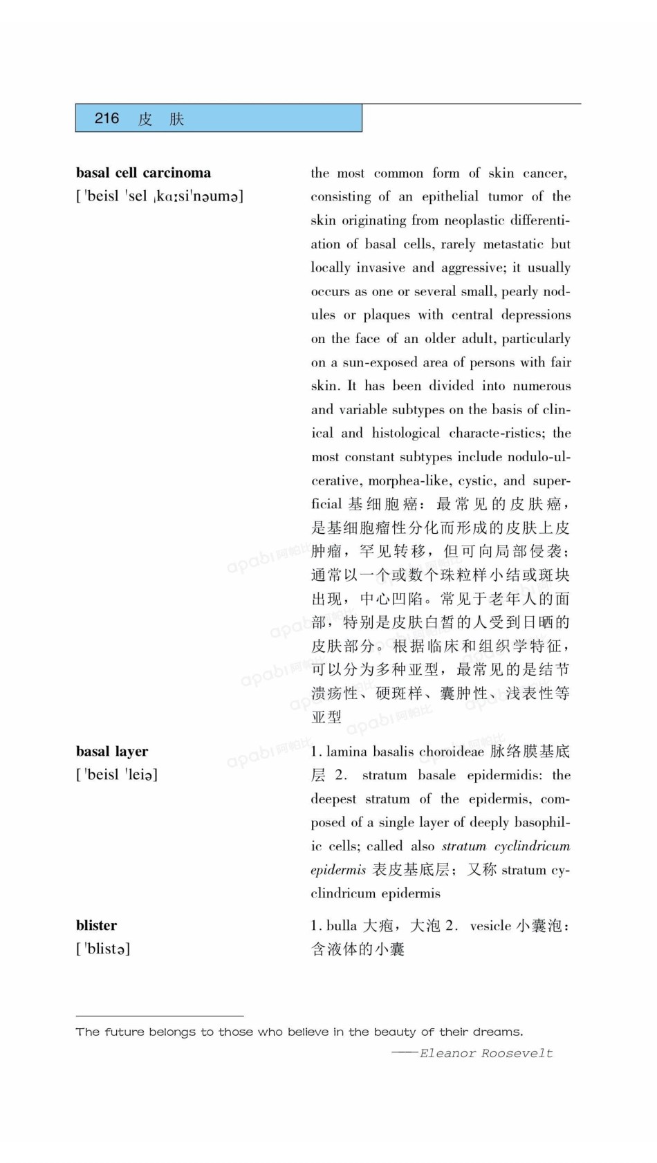 医学：11皮肤.pdf_第3页