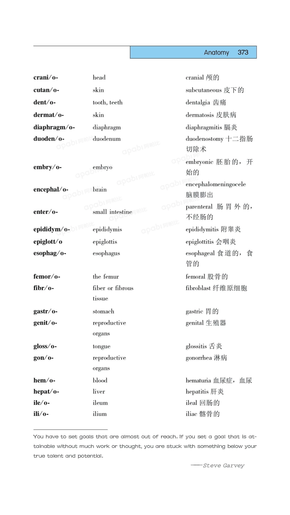 医学：17解剖学.pdf_第2页