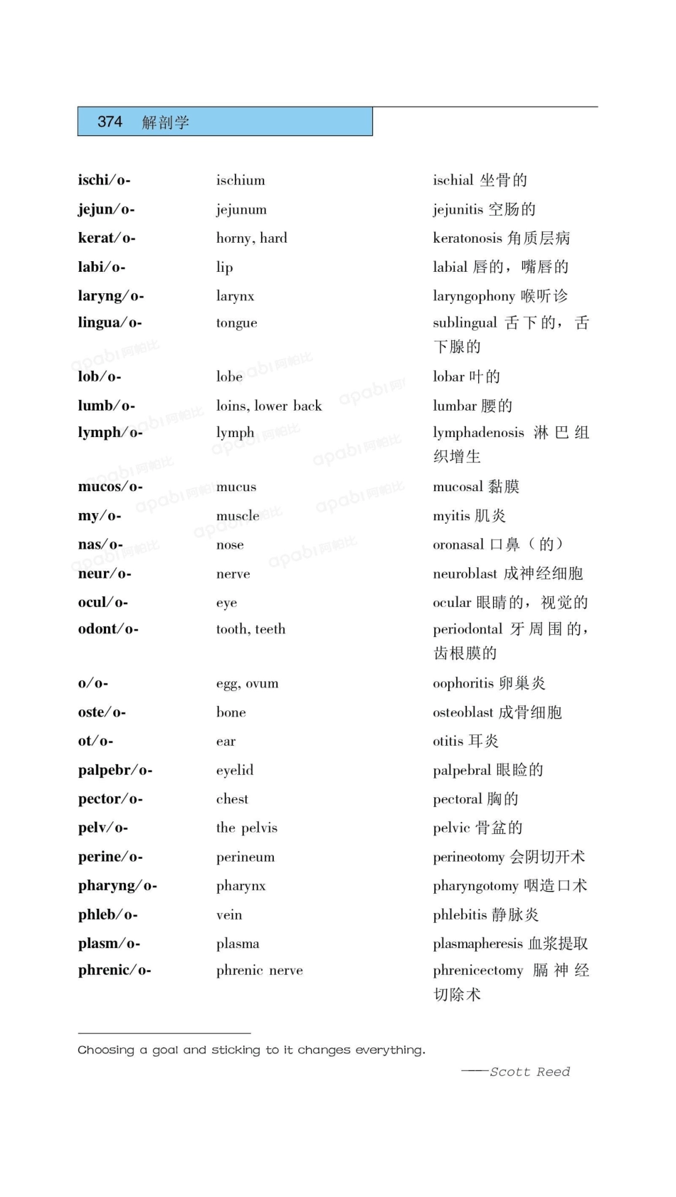 医学：17解剖学.pdf_第3页