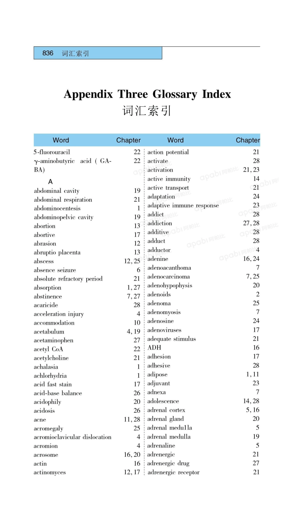 医学：31词汇索引.pdf_第1页