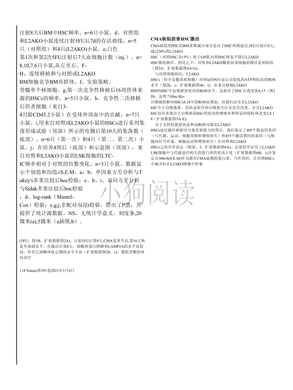 医学：伴侣介导的自噬维持造血干细胞的功能Chaperone-mediated autophagy sustains haematopoietic stem-cell function.pdf.pdf_第3页