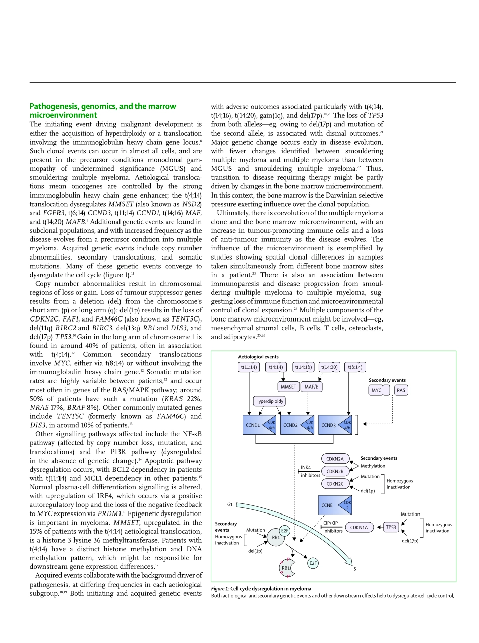医学：多发性骨髓瘤 Multiple myeloma.pdf_第2页