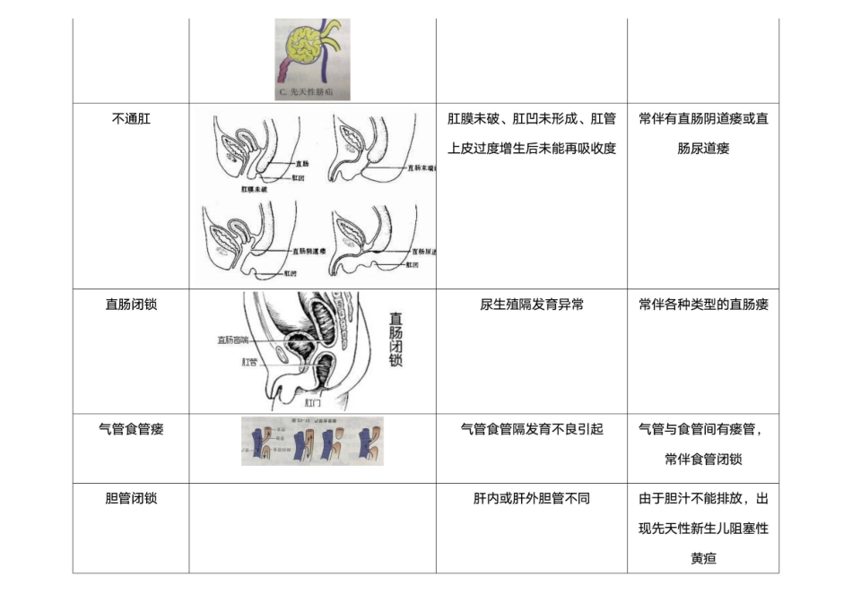 医学：畸形总结.pdf_第2页