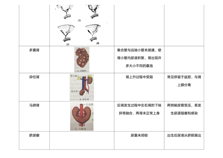 医学：畸形总结.pdf_第3页