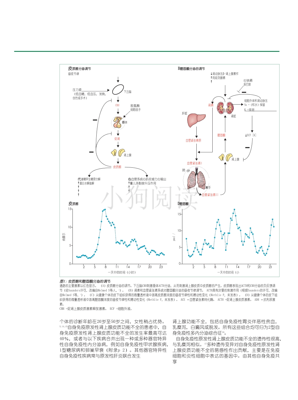 医学：肾上腺机能不全Adrenal insuﬃciency_watermark.pdf_第2页