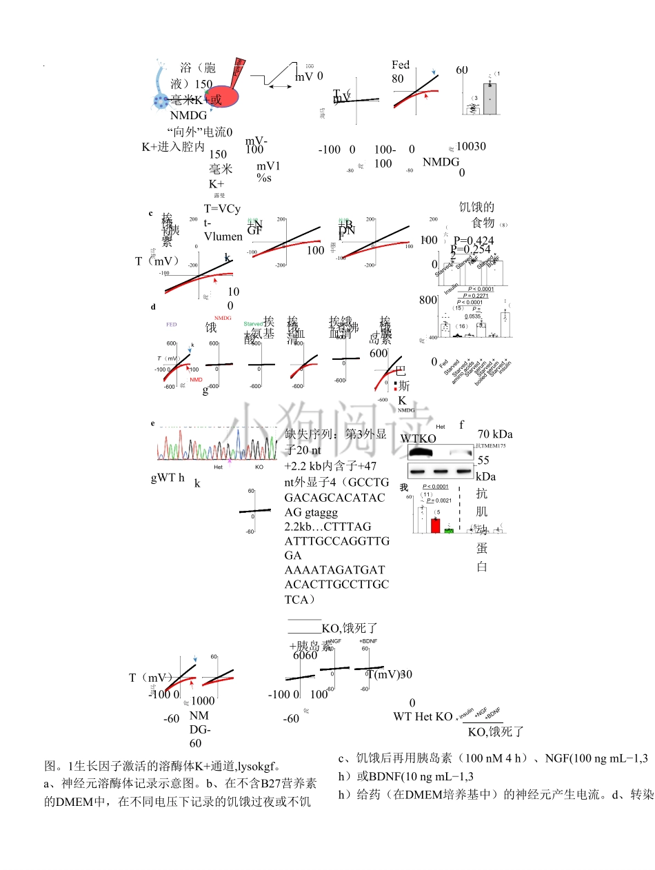 医学：生长因子激活的溶酶体K+通道调节帕金森病的病理A growth factor.pdf.pdf_第3页