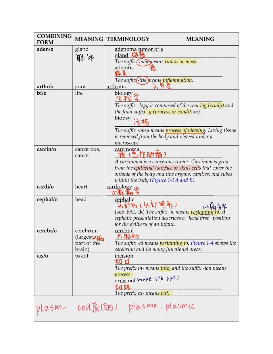 医学：专业词汇词根词缀.pdf_第1页